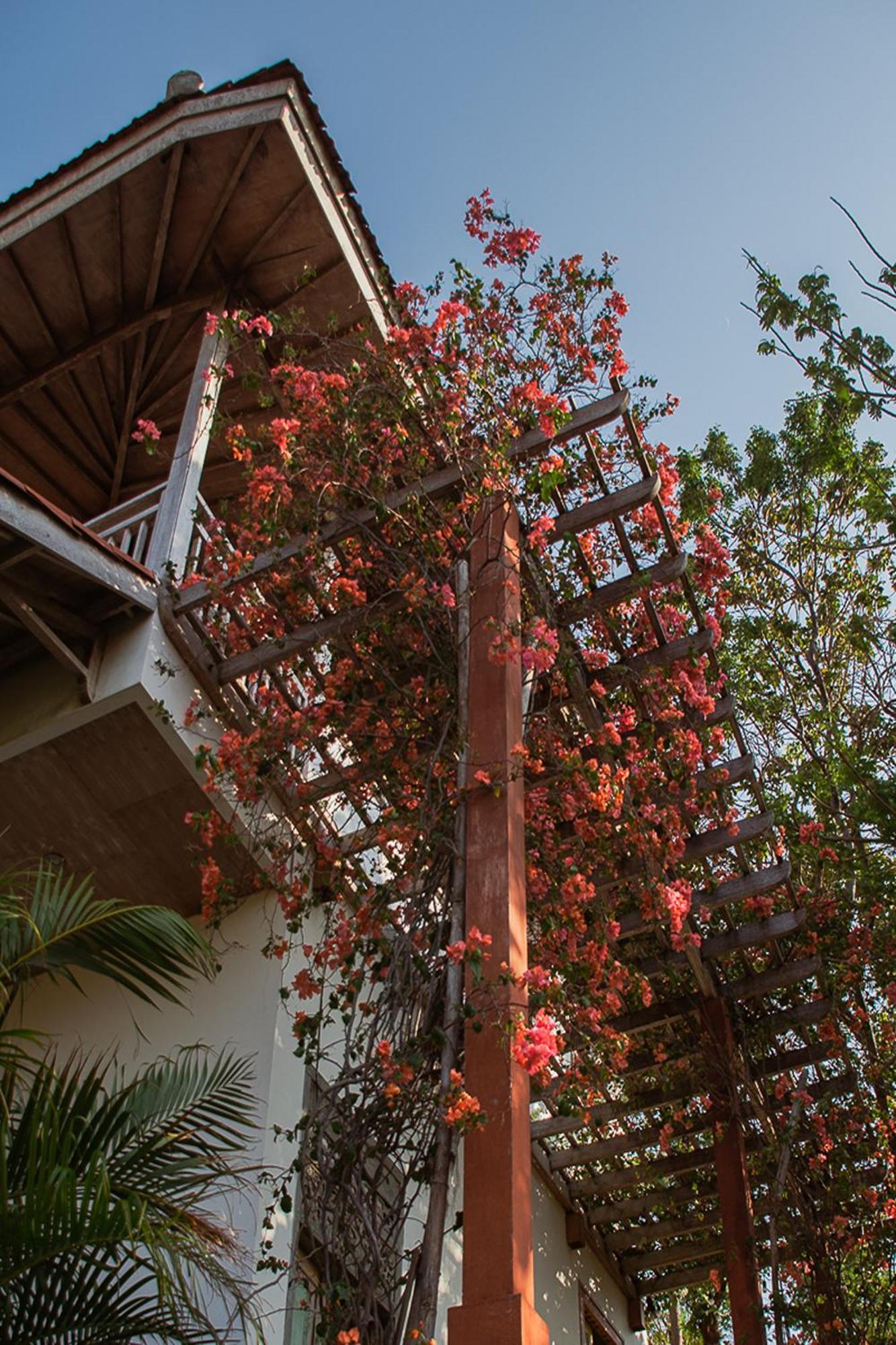 Bangsring Breeze Banyuwangi (East Java) Exterior foto